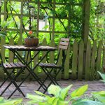 Aménagement extérieur : les arbres, comment choisir ?